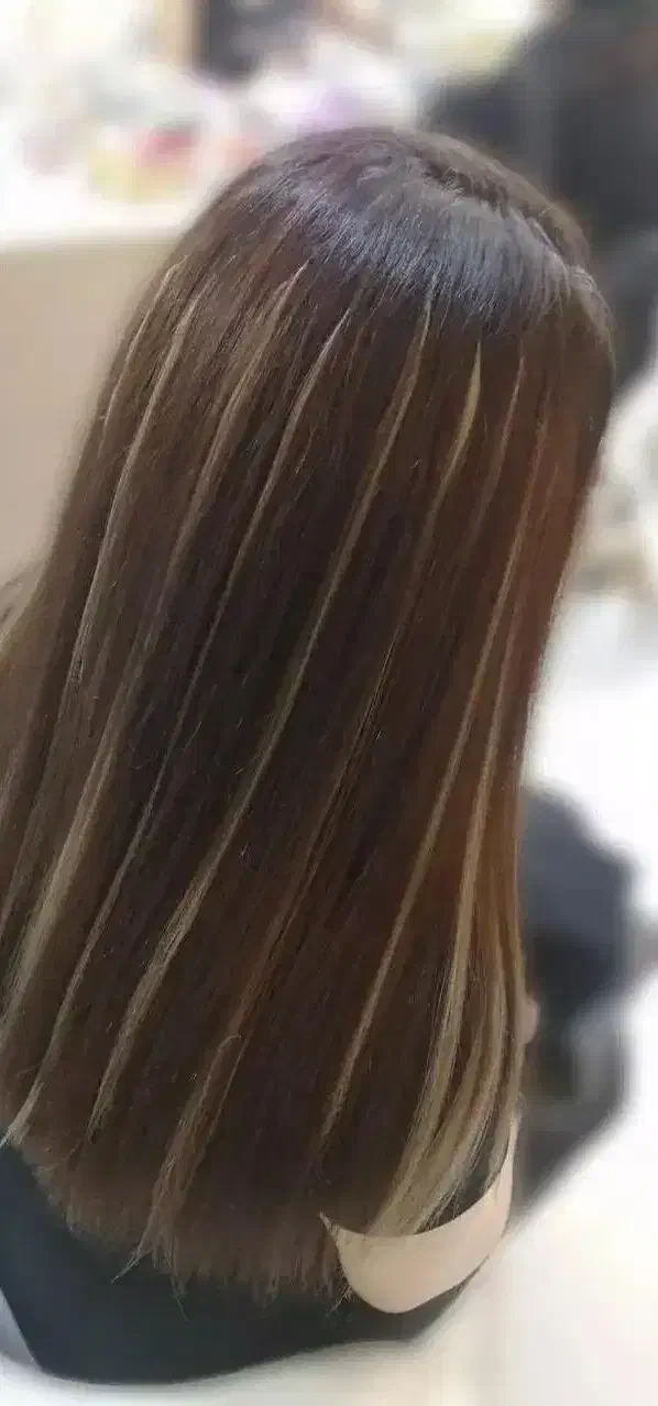 خدمات شنیون|خدمات آرایشگری و زیبایی|تربتحیدریه, فردوسی جنوبی|دیوار