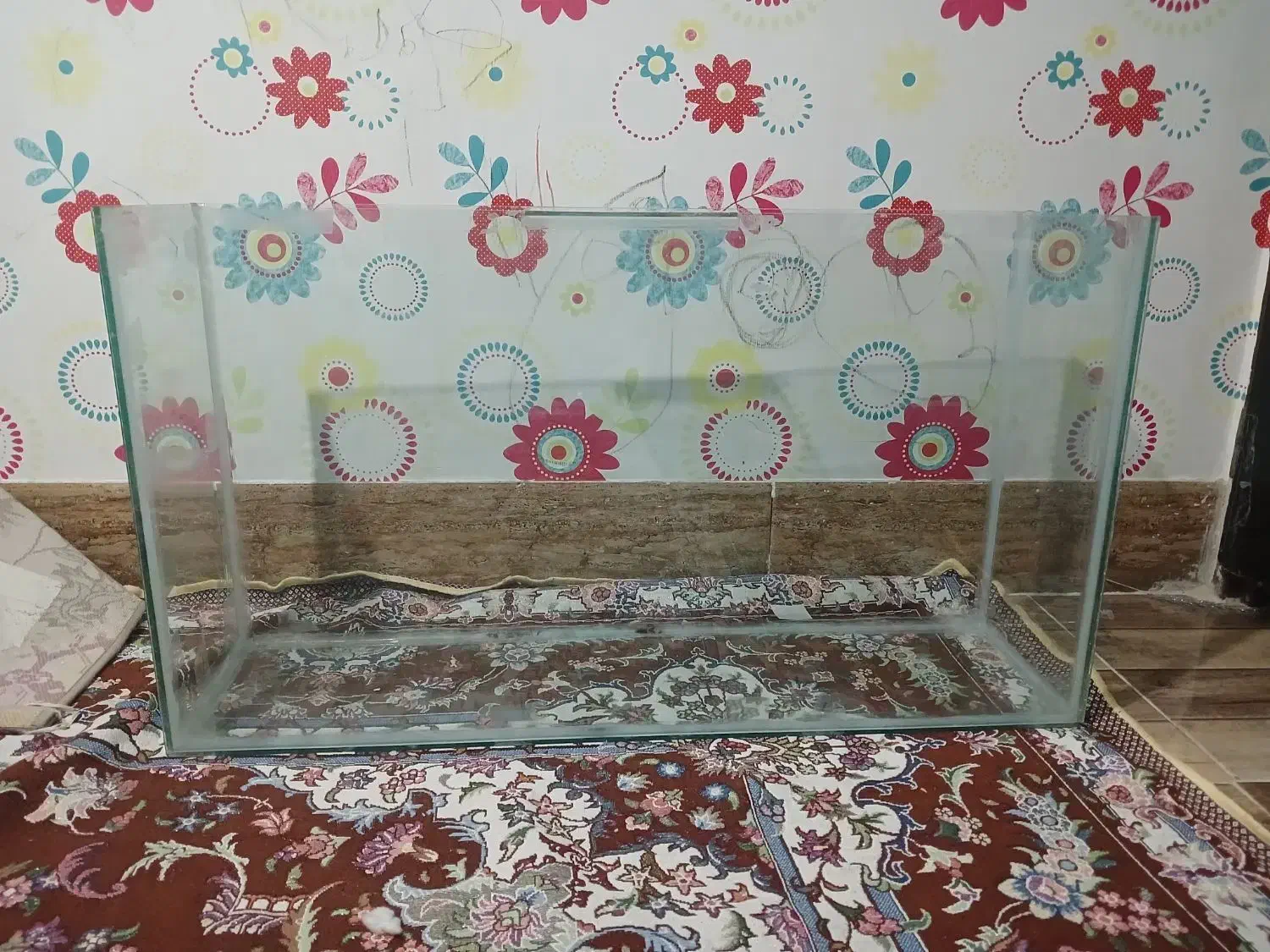 آکواریوم فروشی|ماهی|سیرجان, |دیوار