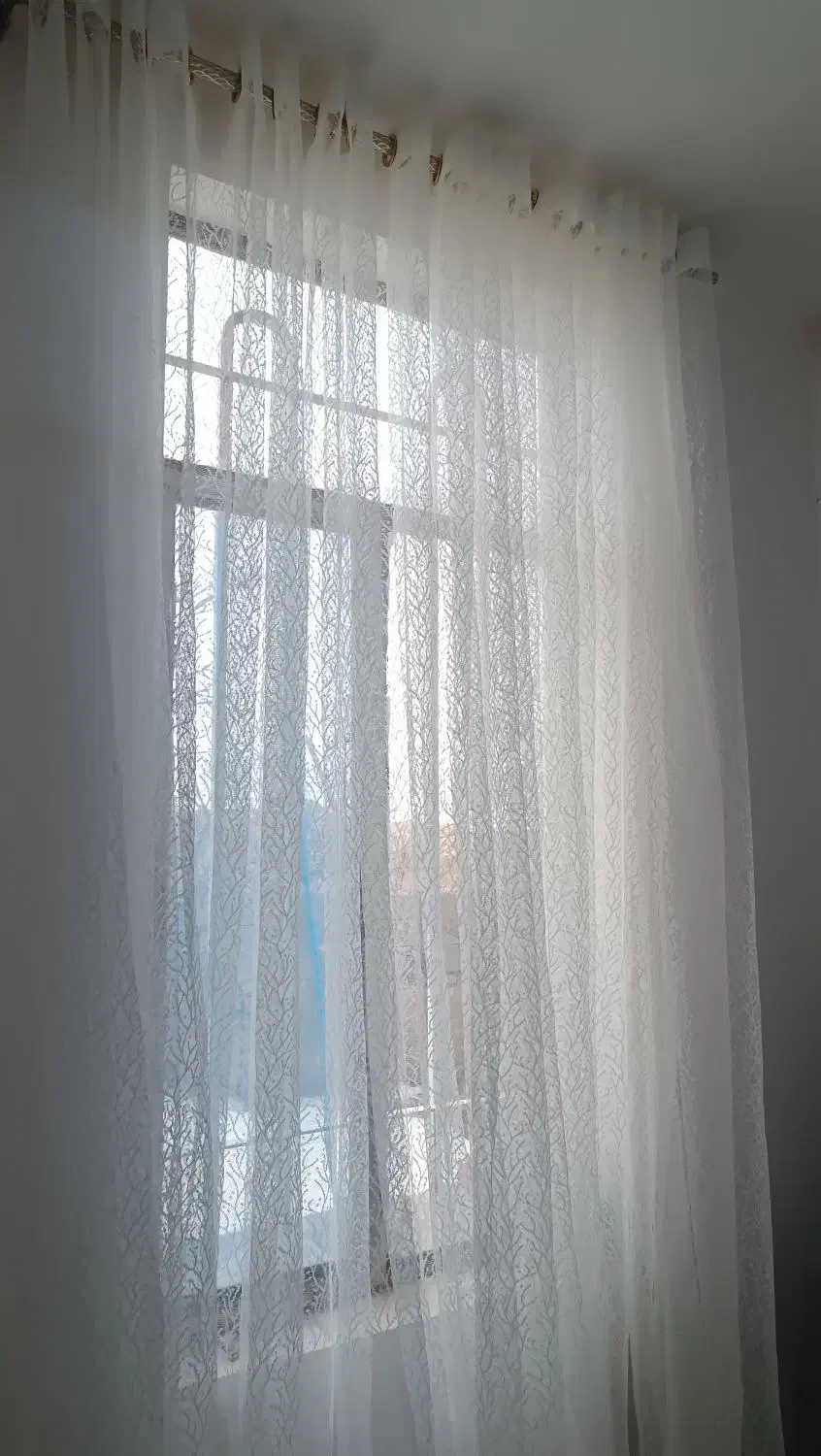 پرده|پرده، رانر، رومیزی|تربت‌حیدریه, قائم|دیوار