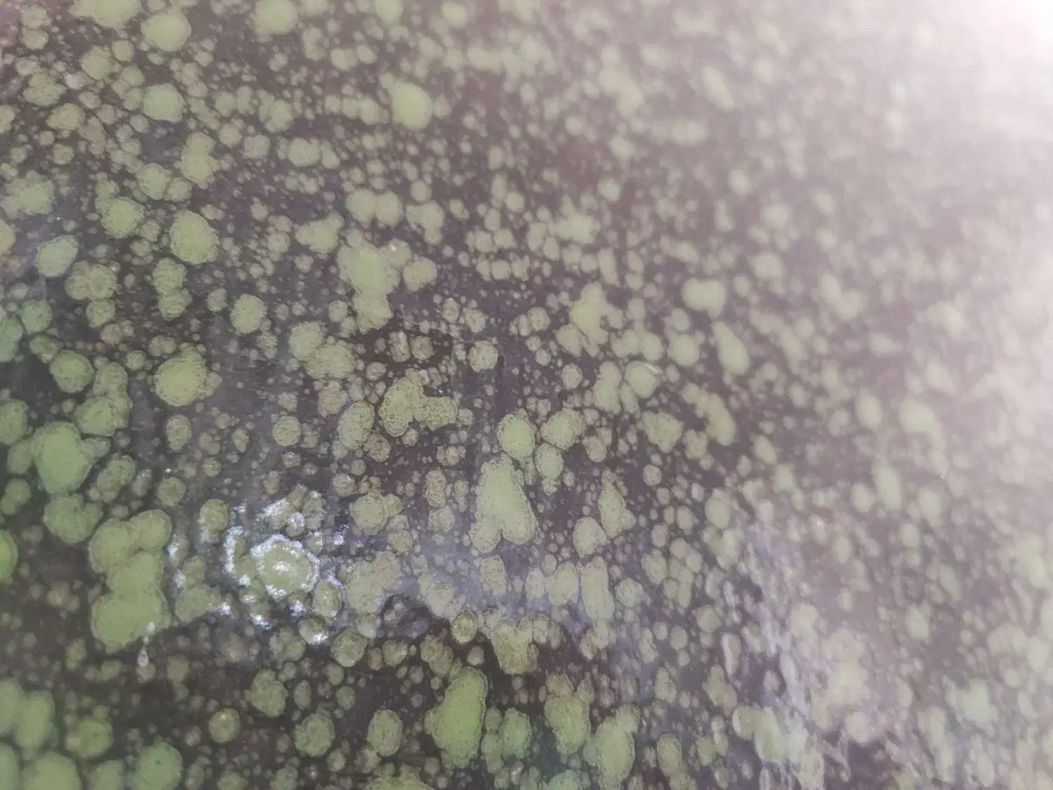 خط تلفن فروشی|تلفن رومیزی|فولادشهر, فولادشهر|دیوار