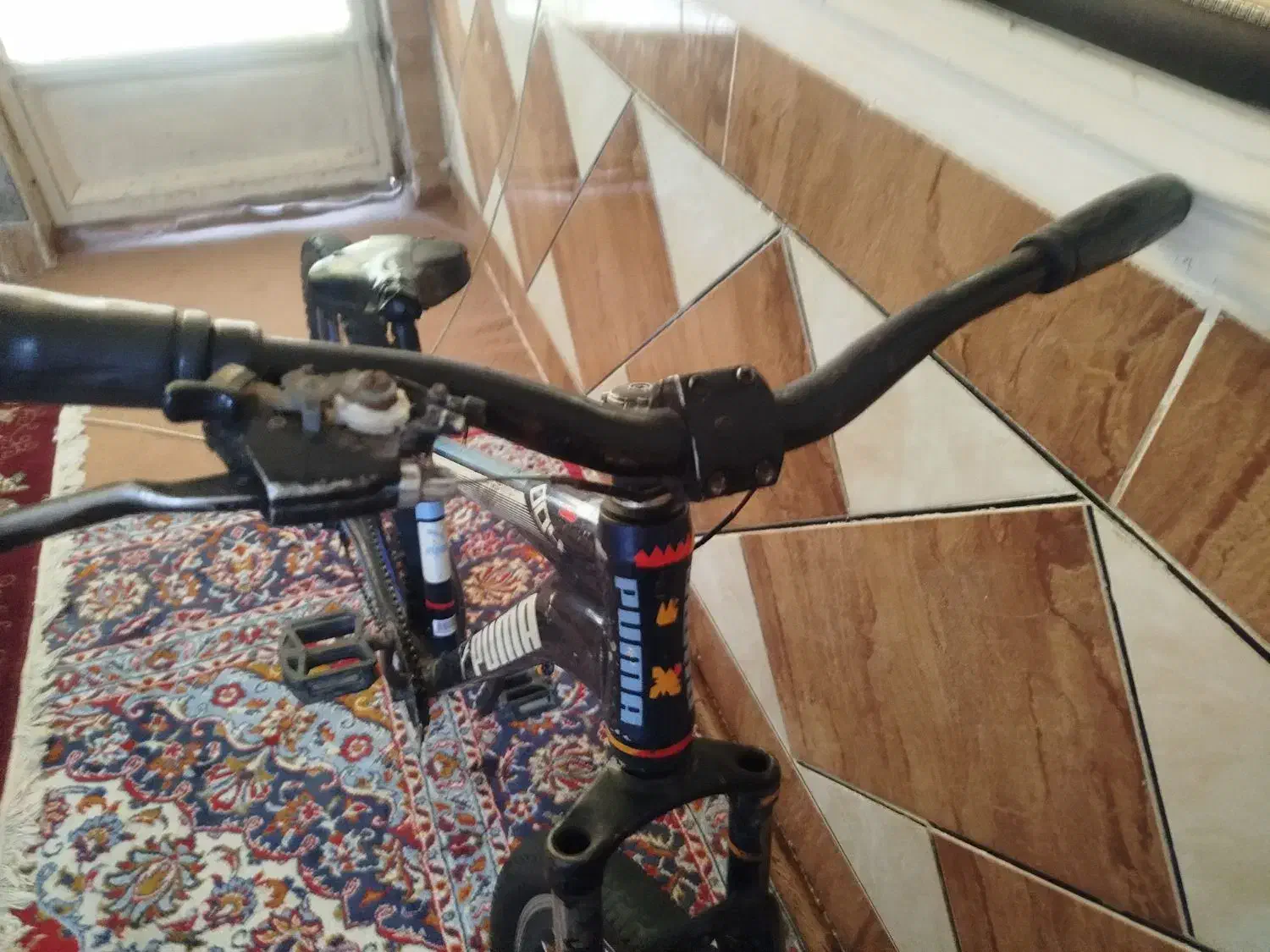 کوی علوی|دوچرخه، اسکیت، اسکوتر|اهواز, گلدشت|دیوار