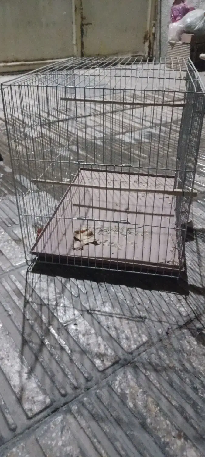 قفس قناری و مرغ عشق|لوازم جانبی حیوانات|ری, شهرک نظامی|دیوار