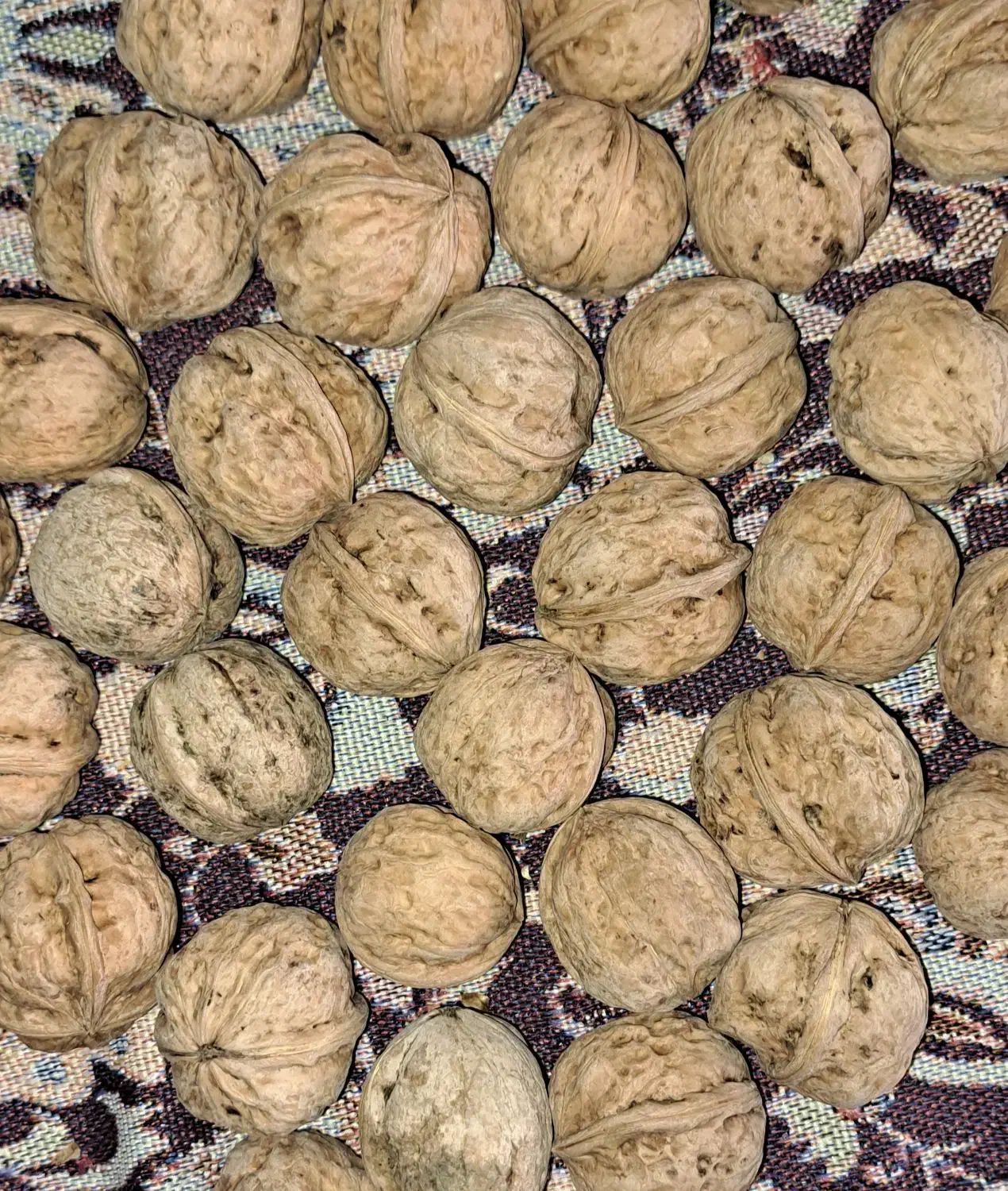 گردو و مغز گردو|خوردنی و آشامیدنی|تهران, ازگل|دیوار