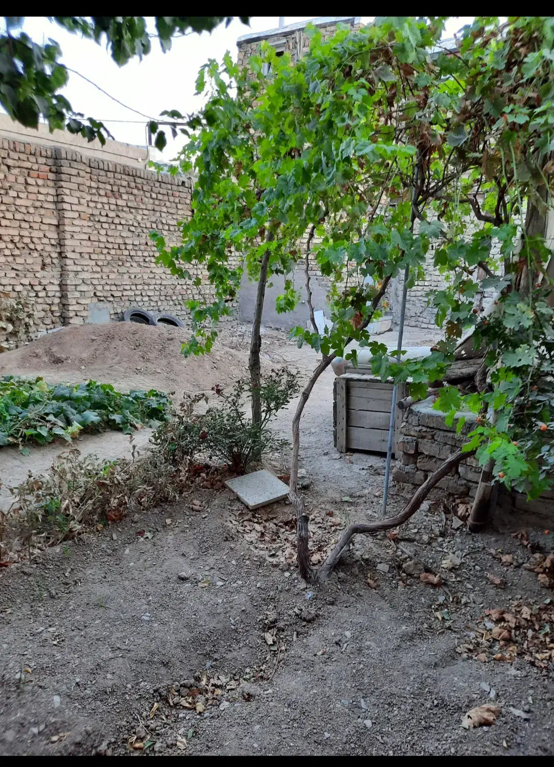 فروش مغازه 200متری|فروش مغازه و غرفه|شازند, |دیوار