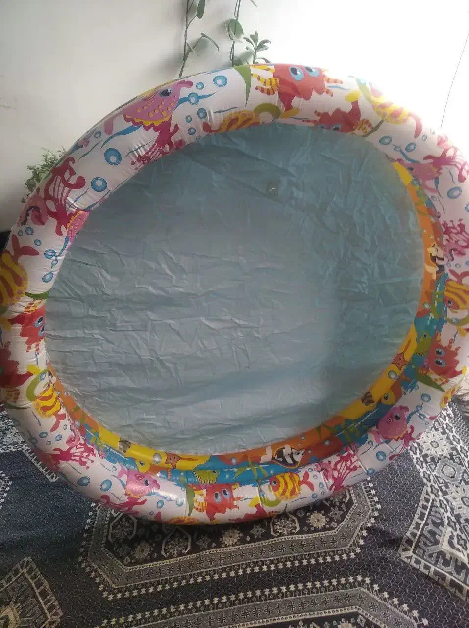 استخر|اسباب‌‌بازی|فولادشهر, B5|دیوار