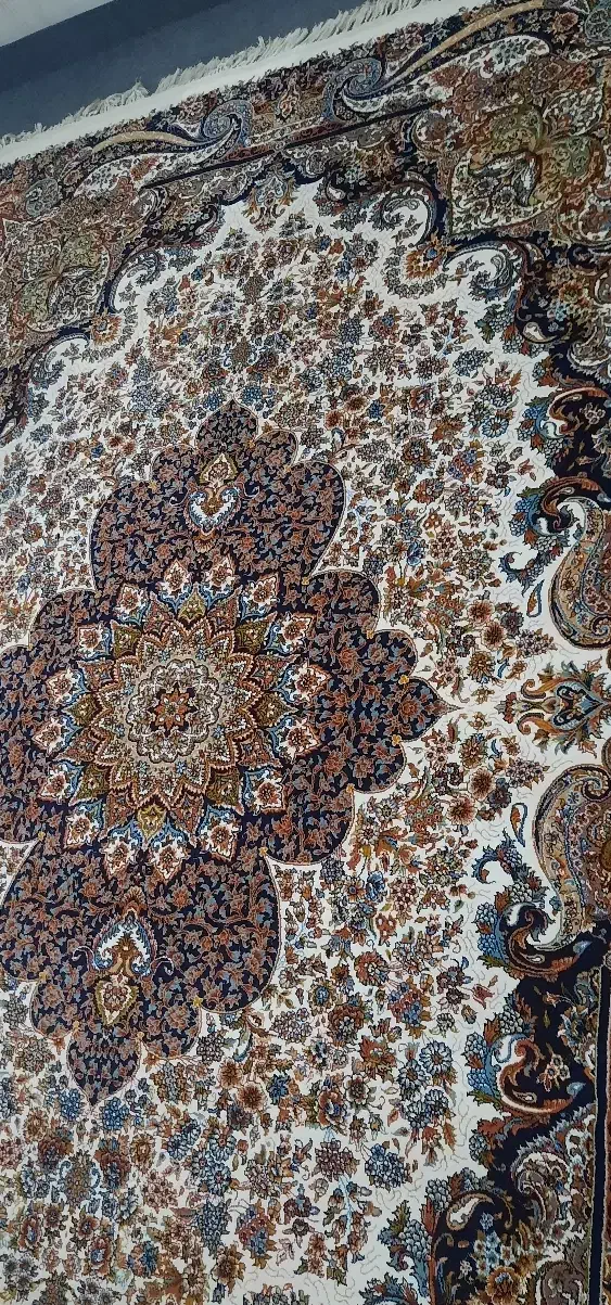 فرش ۶ متری|فرش|همدان, |دیوار