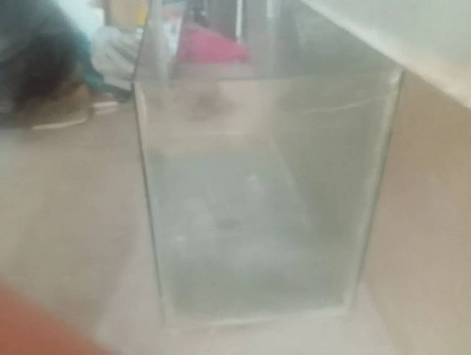 آکواریوم 300 تومن|ماهی|پیشوا, |دیوار