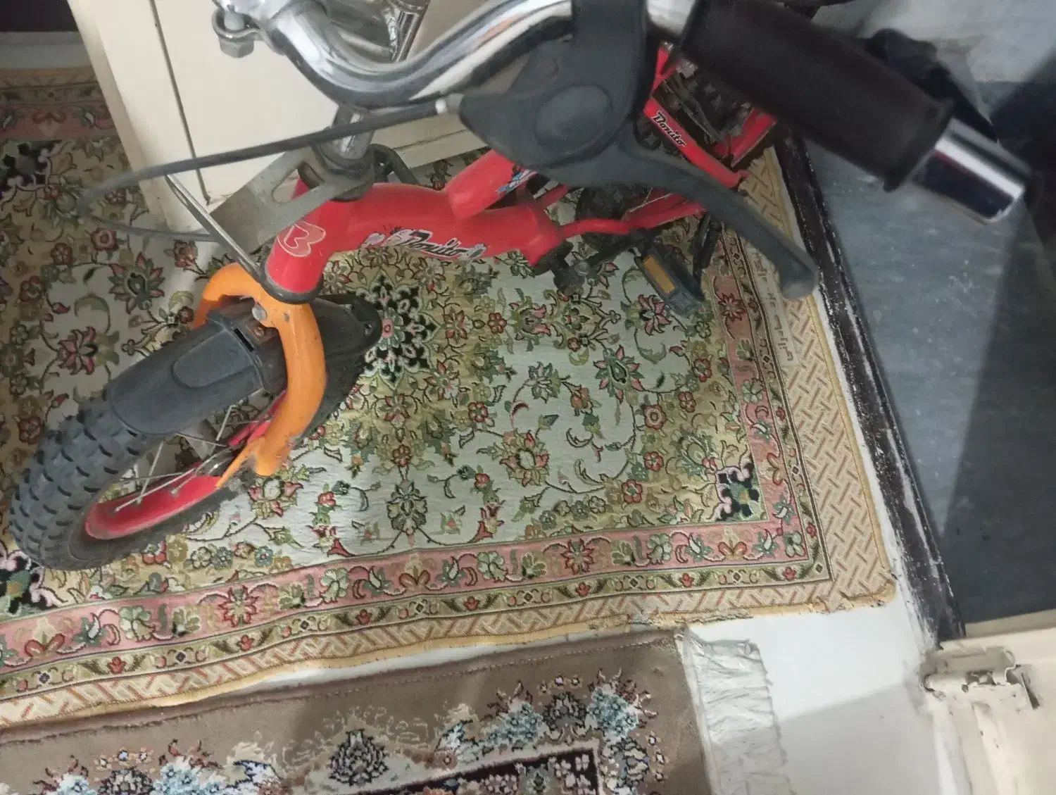 دوچرخه ۱۲|دوچرخه، اسکیت، اسکوتر|قدس, شهر‌قدس|دیوار