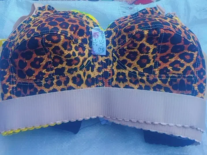 لباس زیر|لباس|میناب, |دیوار