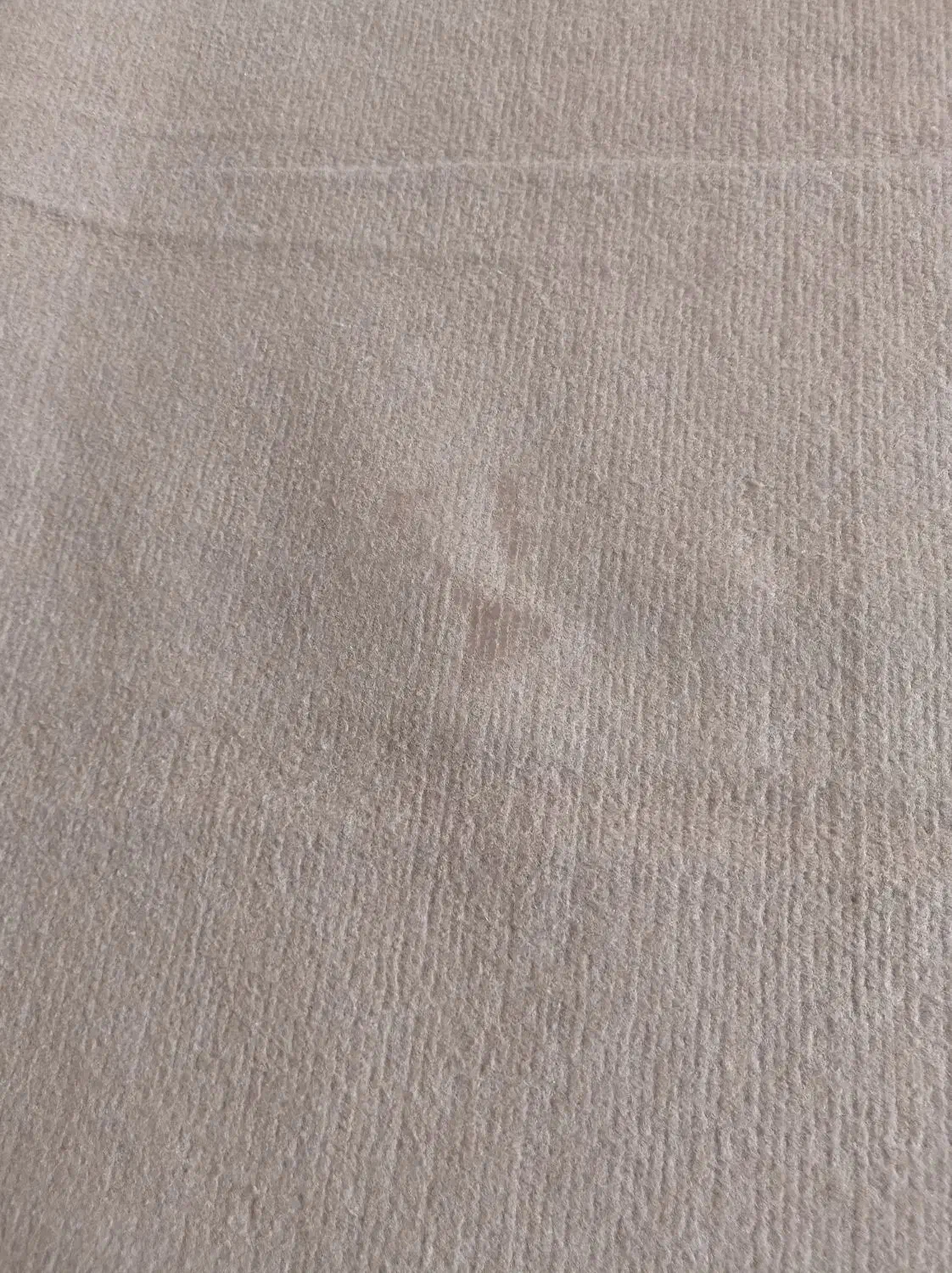 موکت در حدنو|موکت|کرمانشاه, |دیوار