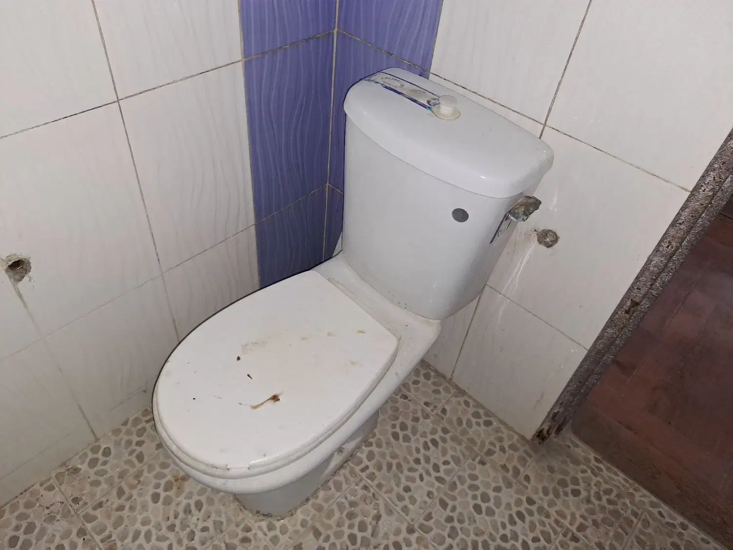 توالت فرنگی|لوازم سرویس بهداشتی|مشهد, نیروی هوایی|دیوار