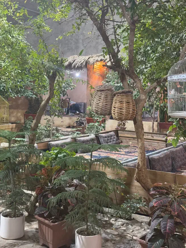 جذب نیرو کار|استخدام خدمات فروشگاه و رستوران|یزد, |دیوار