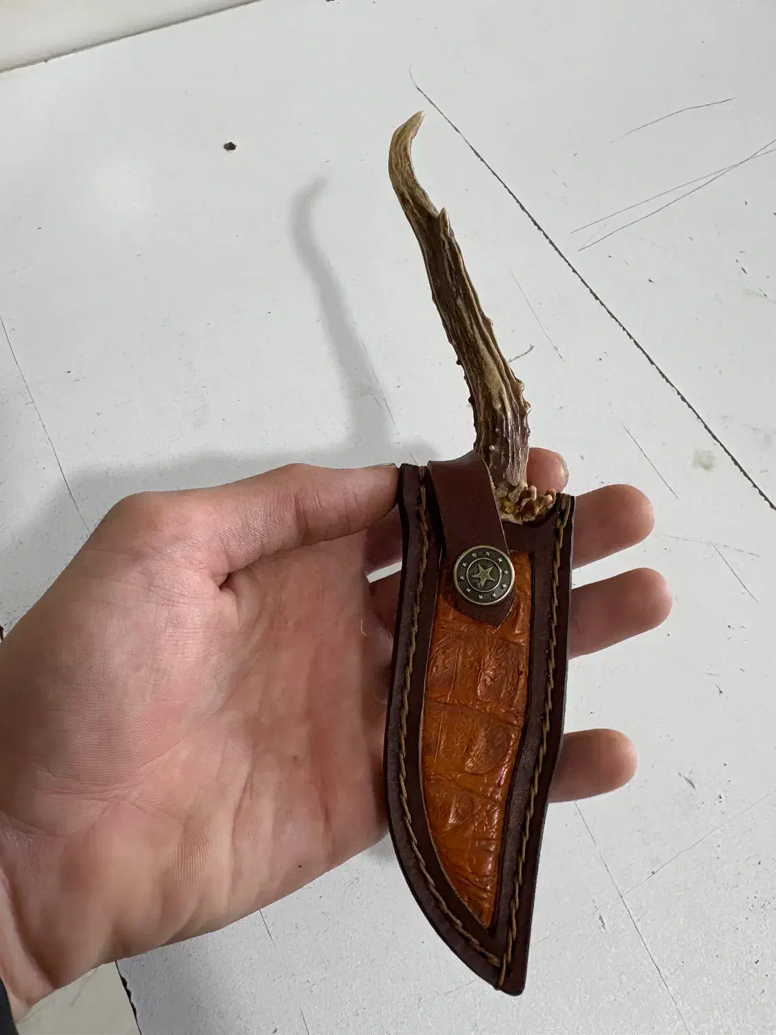 کارد کلکسیونی|کلکسیون اشیاء عتیقه|گرگان, |دیوار