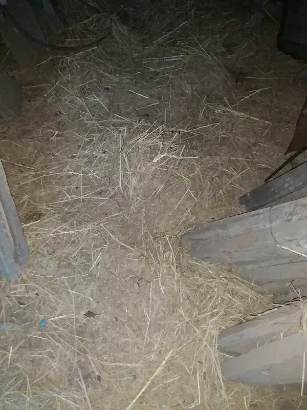 کاه|لوازم جانبی حیوانات|رشت, دخانیات|دیوار