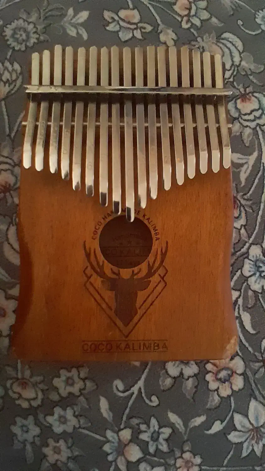 کالینبا سالم|پیانو، کیبورد، آکاردئون|وحیدیه, |دیوار