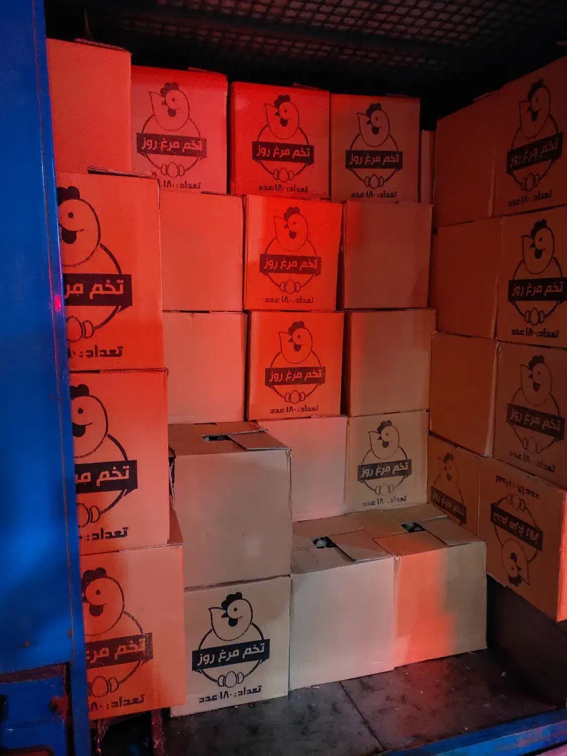 پخش و توزیع مستقیم تخم مرغ|خوردنی و آشامیدنی|مشهد, موسوی قوچانی|دیوار