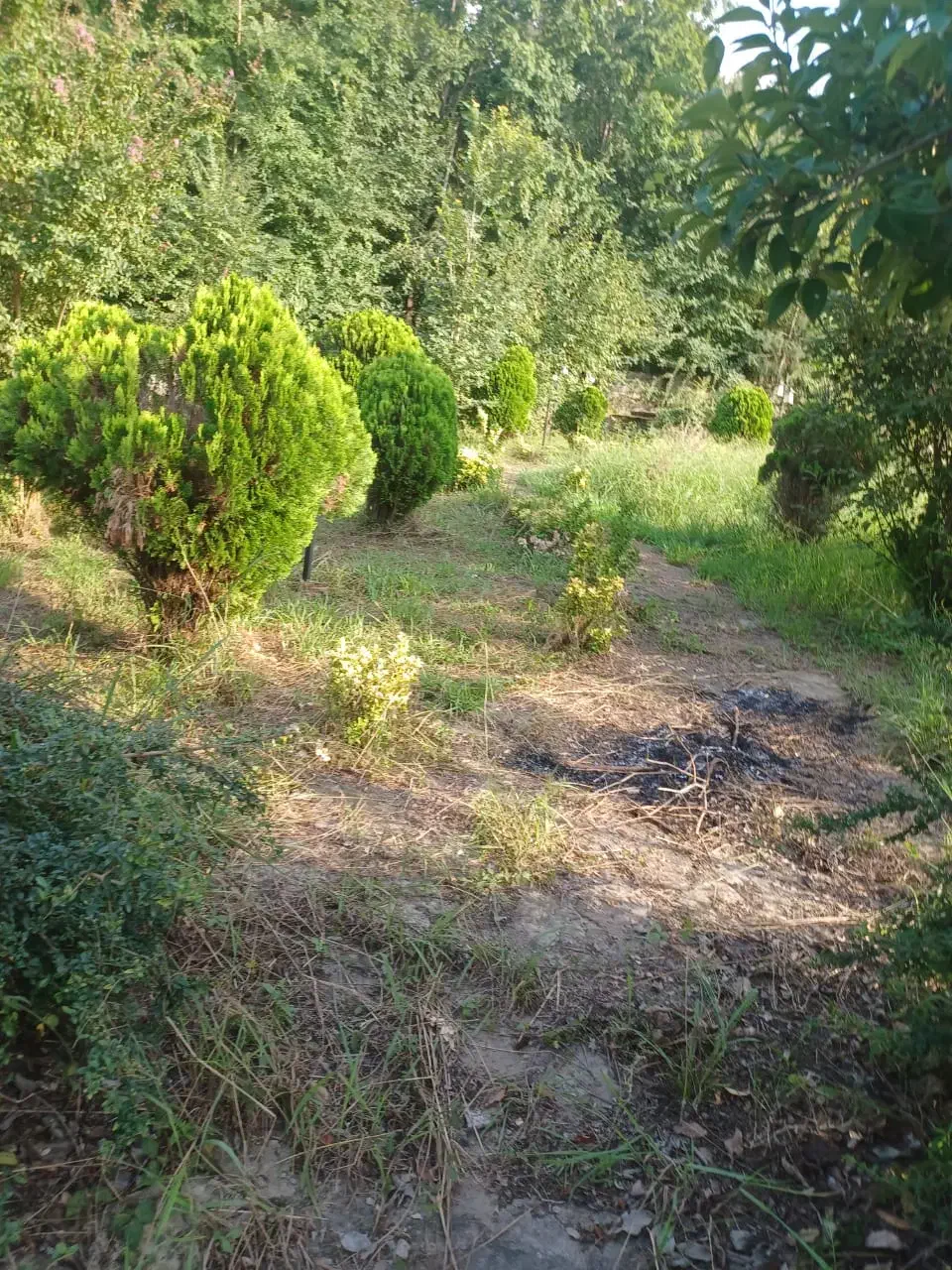 امور ثبتی و دفتر خانه|خدمات مالی، حسابداری، بیمه|رشت, چله خانه|دیوار