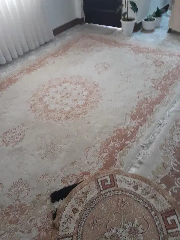 فرش ۱۲متری ۲عدد ۶ متری ۲عدد|فرش|آمل, |دیوار