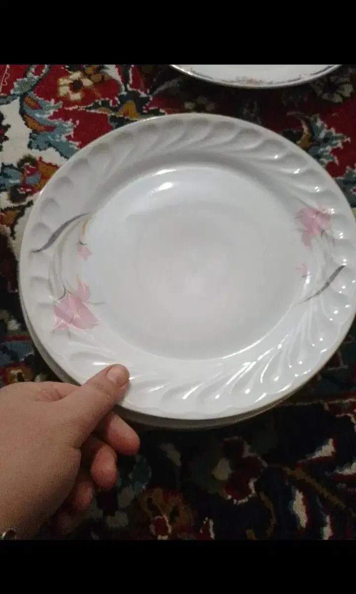 ظروف چینی تمیز|ظروف سرو و پذیرایی|قم, شاد قلی|دیوار