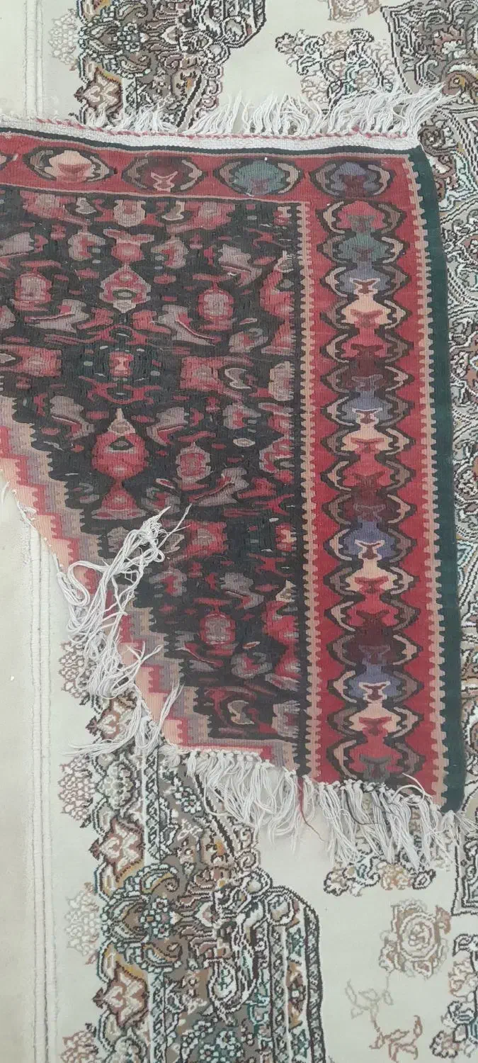 قالیچه دست باف(سجا)|فرش|سنندج, |دیوار