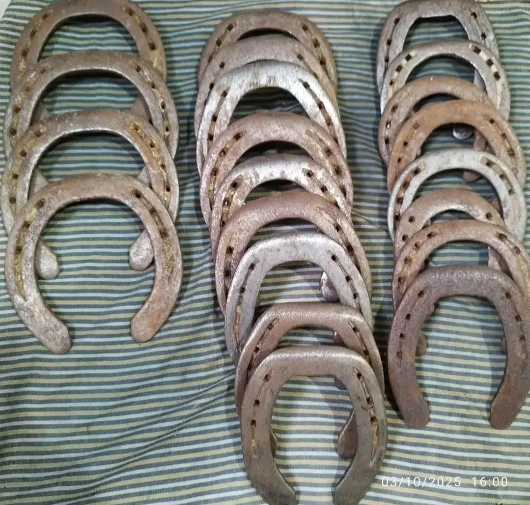 نعل اسب کهنه و پا خورده|اسب و تجهیزات اسب‌سواری|خرم‌آباد, |دیوار