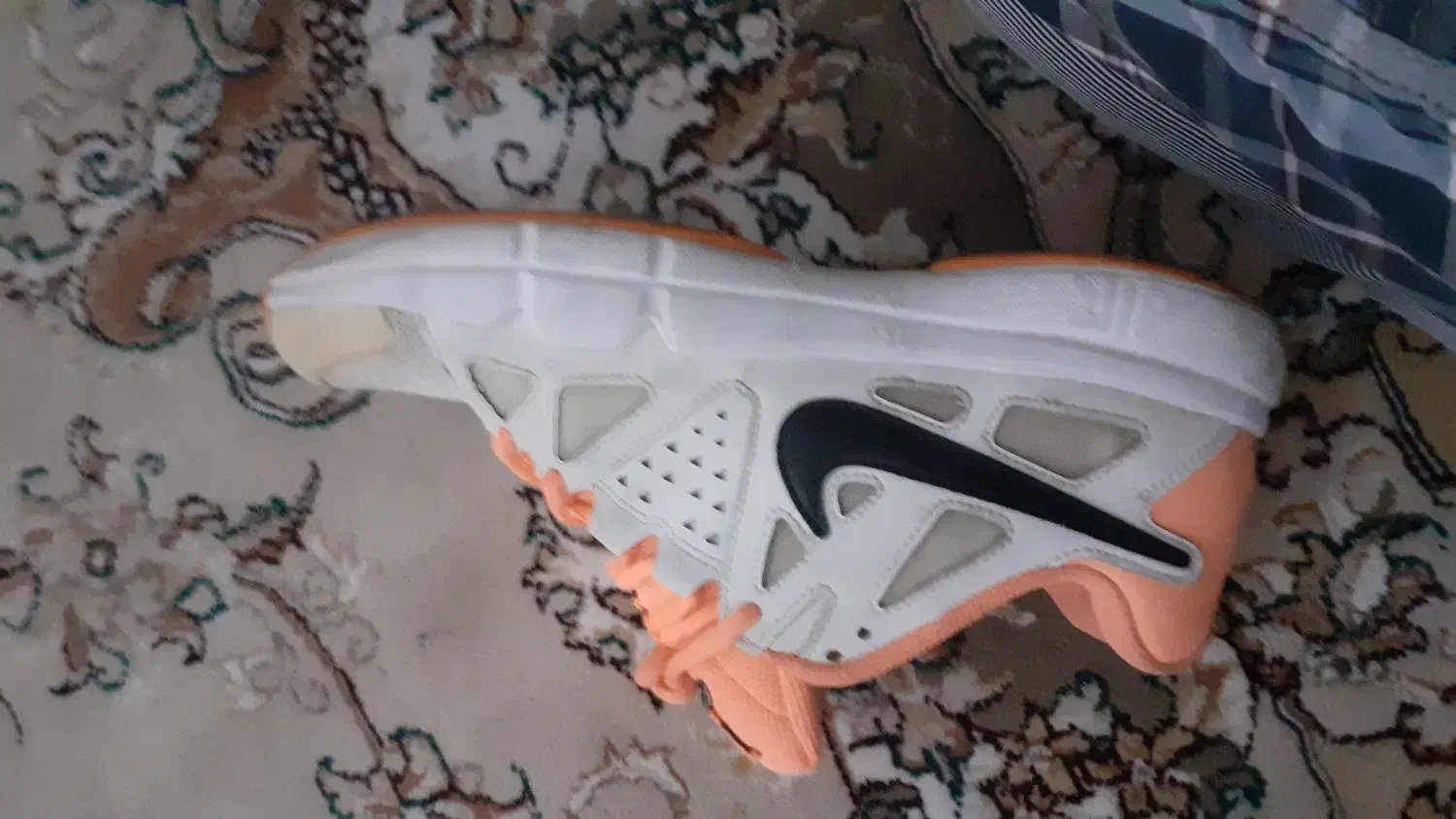 کفش استوک|کیف، کفش، کمربند|اسفراین, |دیوار