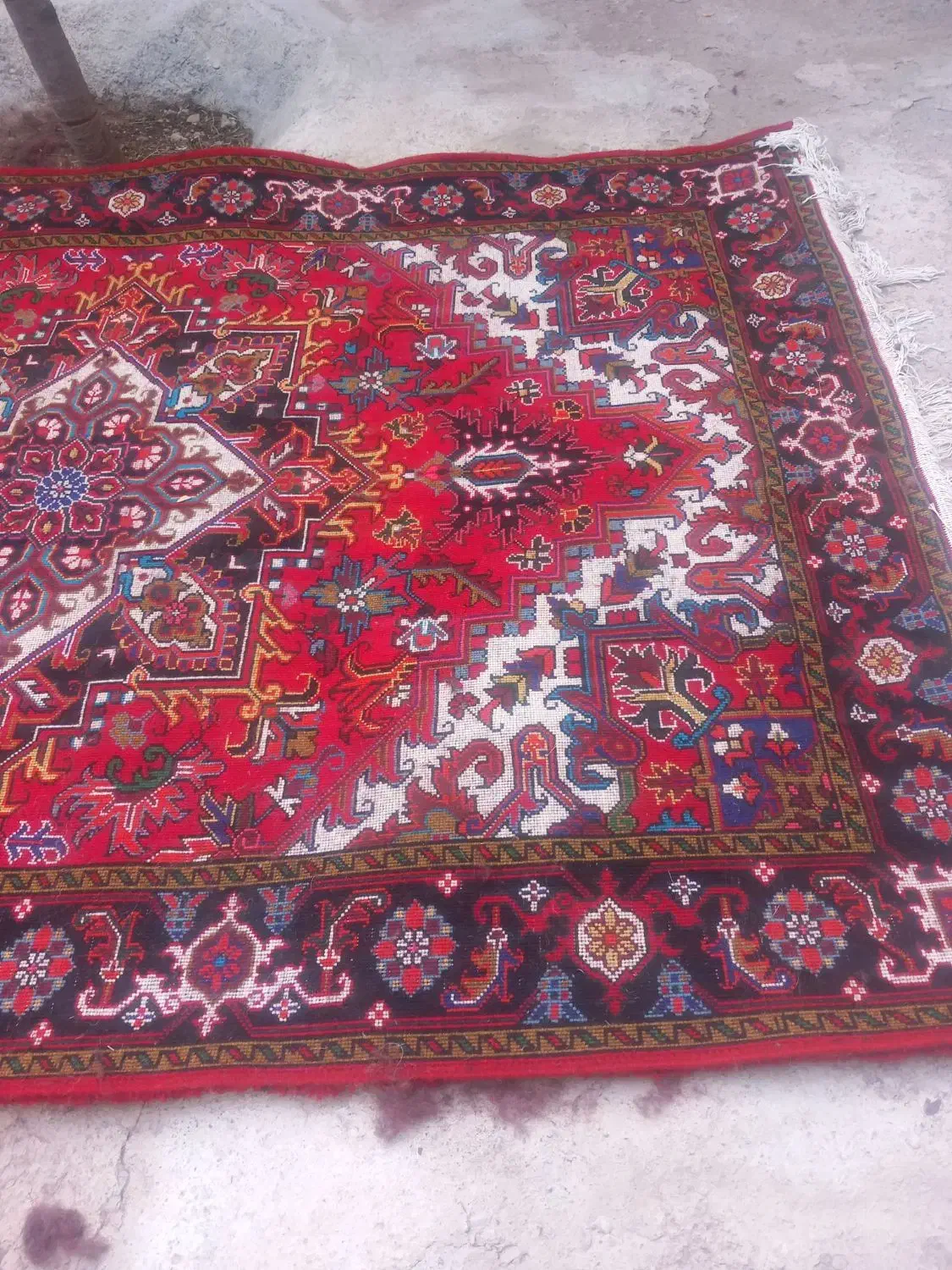 یک عدد فرش هریس تاجری|فرش|بستان آباد, |دیوار