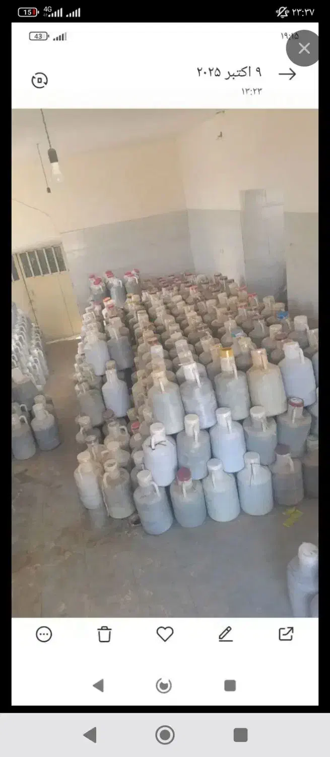 حراج خیارشورکیلویی 35دبه ای ۸کیلو۲۸۰تومن|خوردنی و آشامیدنی|تربت جام, فاز ۱ فرهنگیان|دیوار