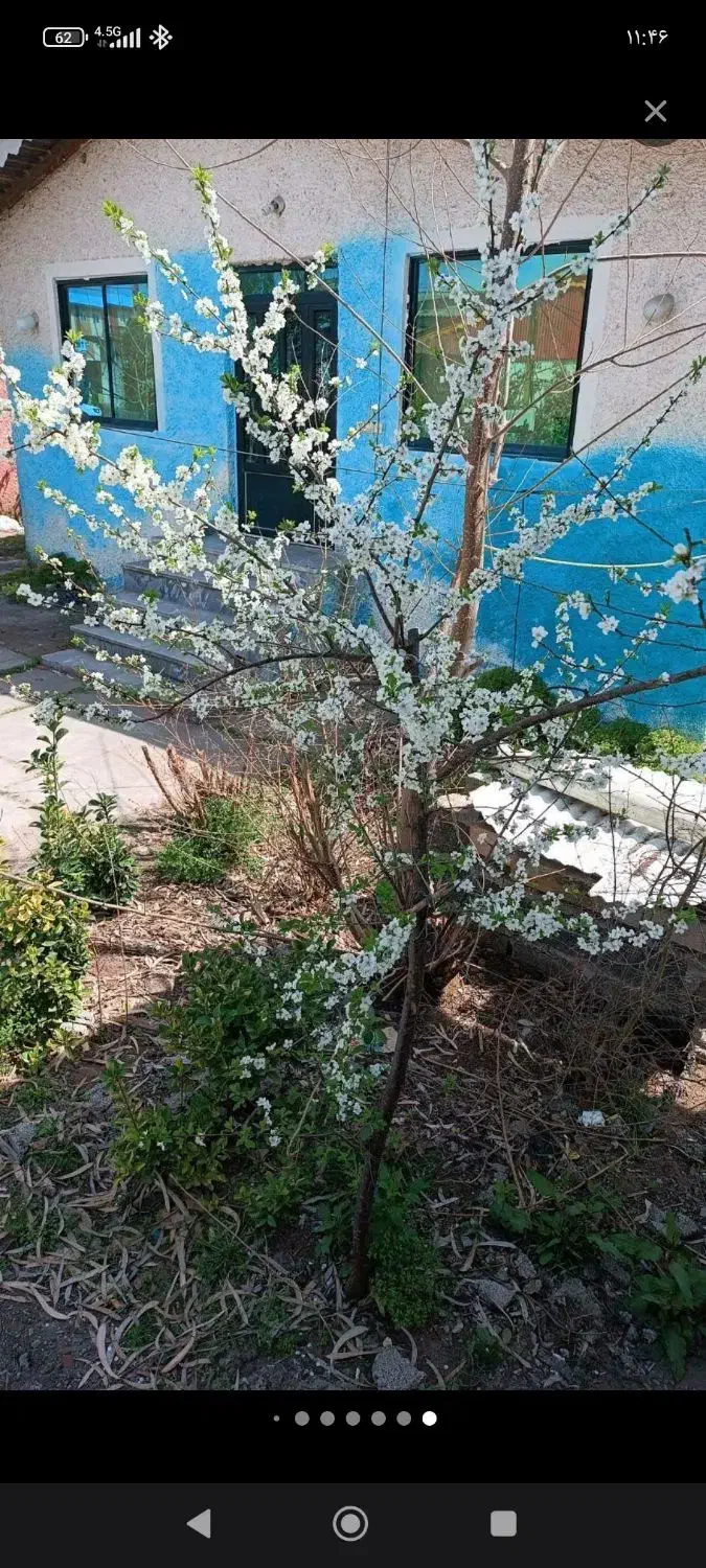 ویلا تمیز سویت مرتب کارت ملی هوشمند الزامی|اجارهٔ کوتاه‌مدت ویلا و باغ|کوچصفهان, |دیوار