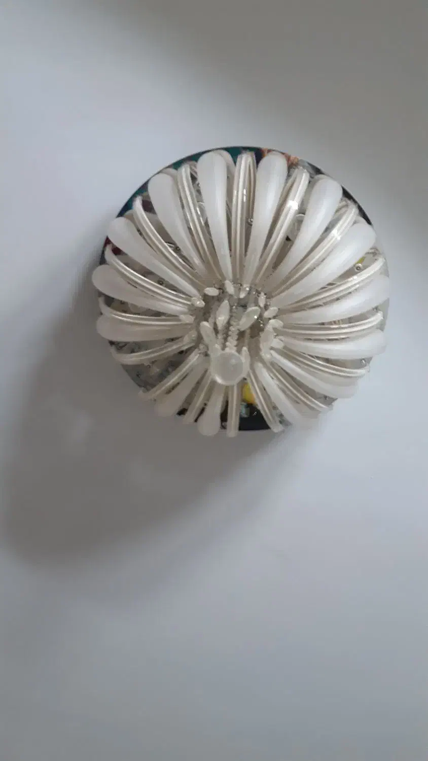 لوستر|لوستر و چراغ آویز|پردیس, فاز ۲|دیوار