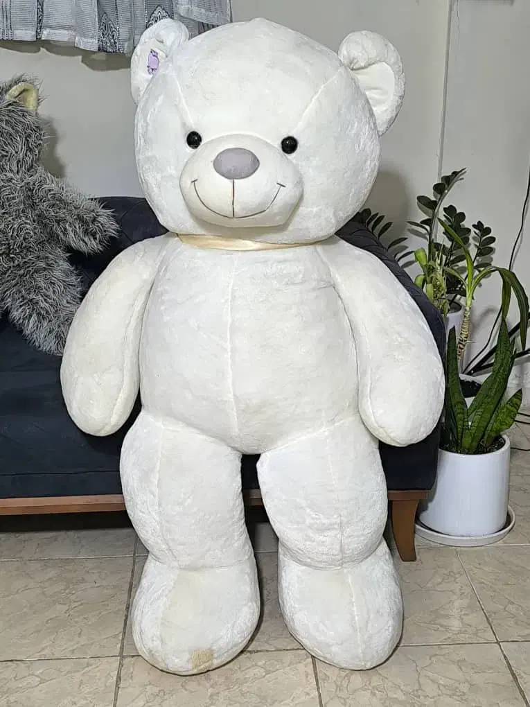 عروسک|اسباب‌بازی بچه|صدرا-فارس, فاز ۲|دیوار