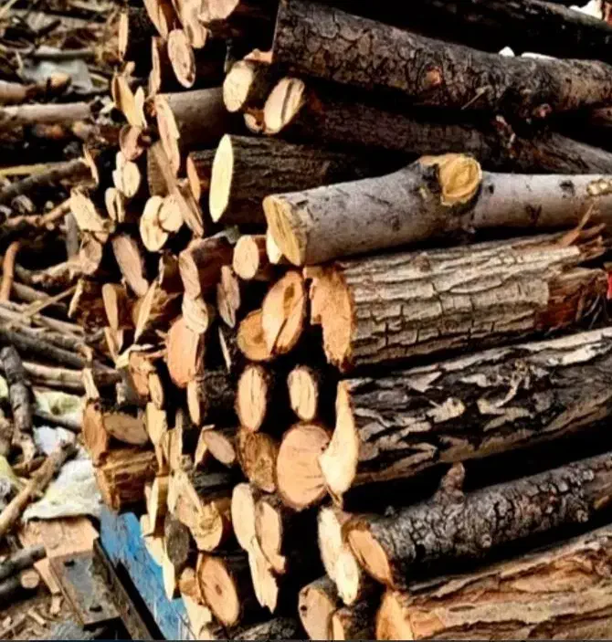 چوب وهیزم باغی|خدمات باغبانی و درختکاری|شاهرود, |دیوار