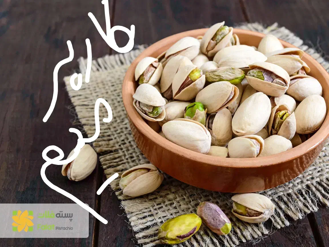 لطفاً راهنمایی کنید دنبال این کاربریم|فعالیت داوطلبانه|یزد, |دیوار