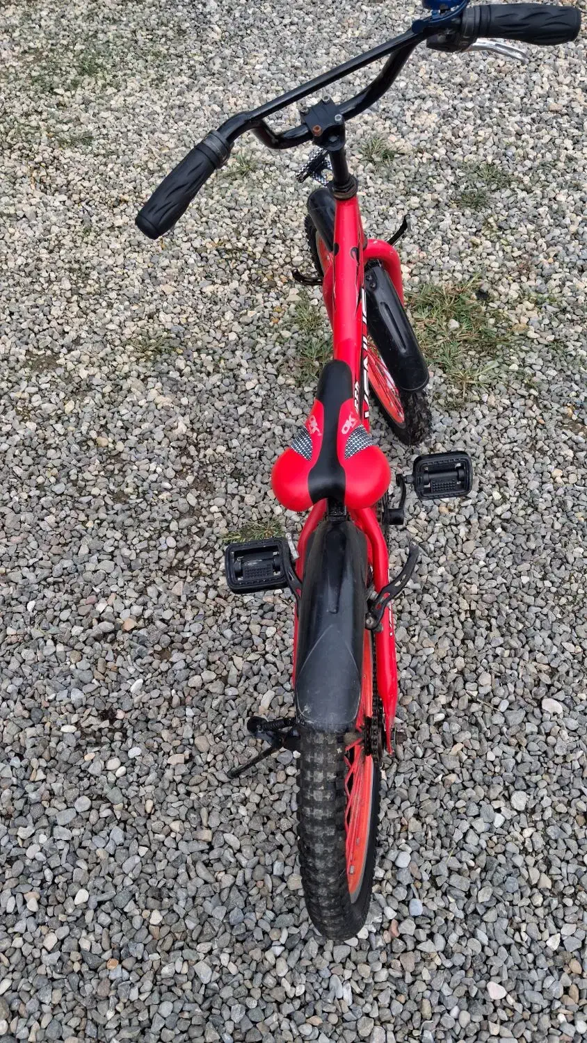 دوچرخه سایز ۲۰ venus قرمز مات|دوچرخه، اسکیت، اسکوتر|تالش, طولارود|دیوار