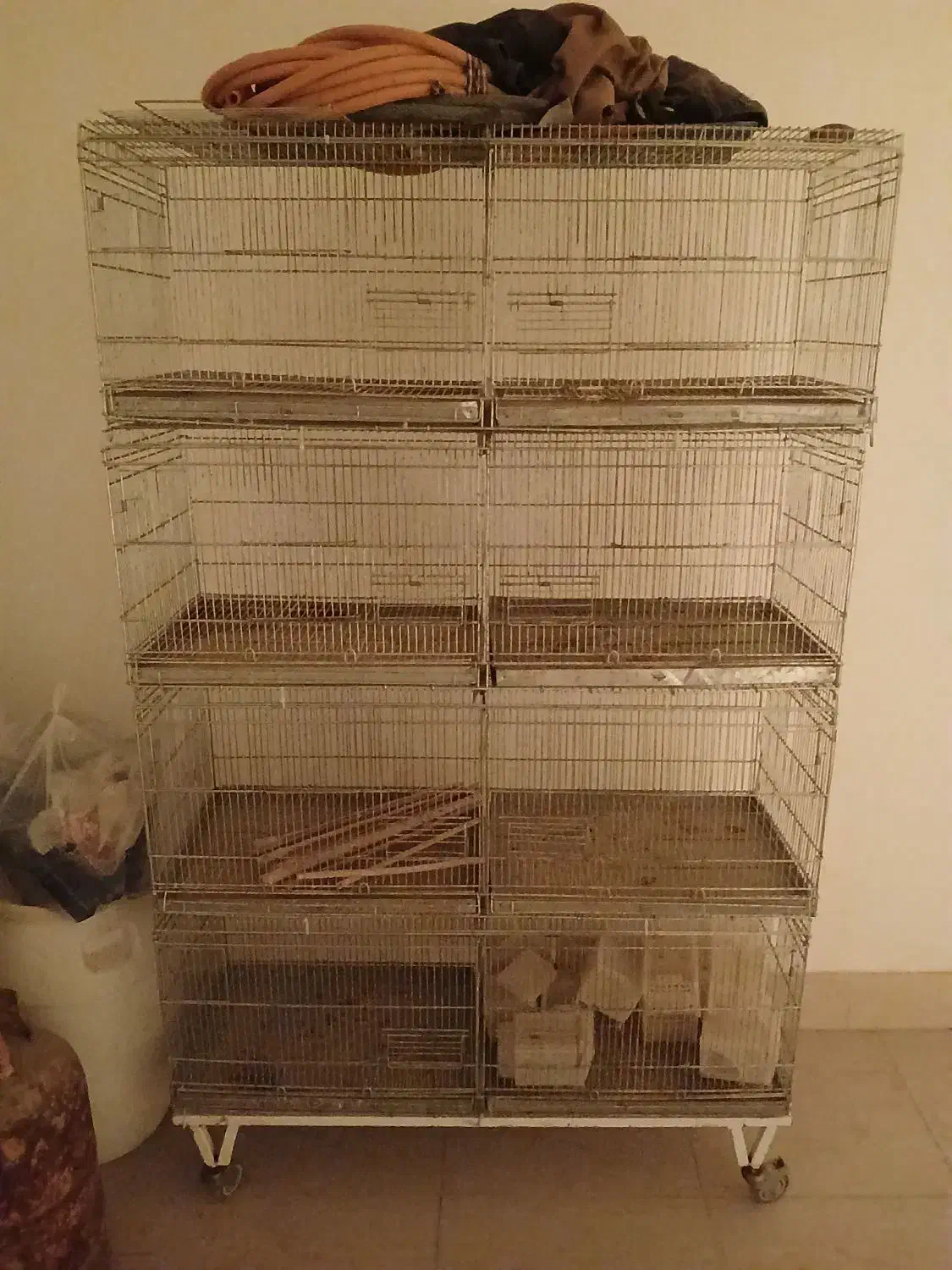 جفت خون|لوازم جانبی حیوانات|بوشهر, |دیوار