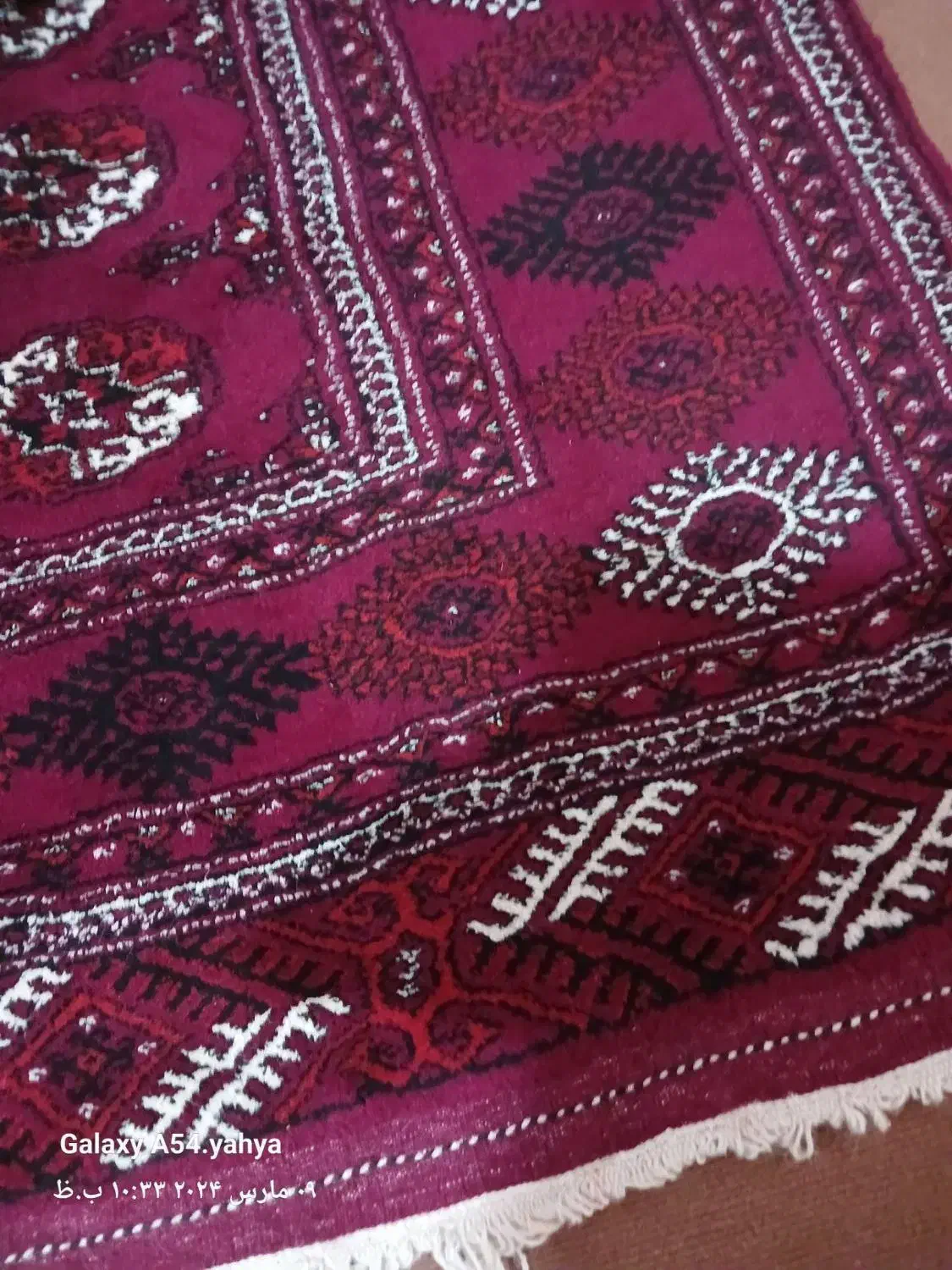 قالی|فرش|گنبد کاووس, |دیوار