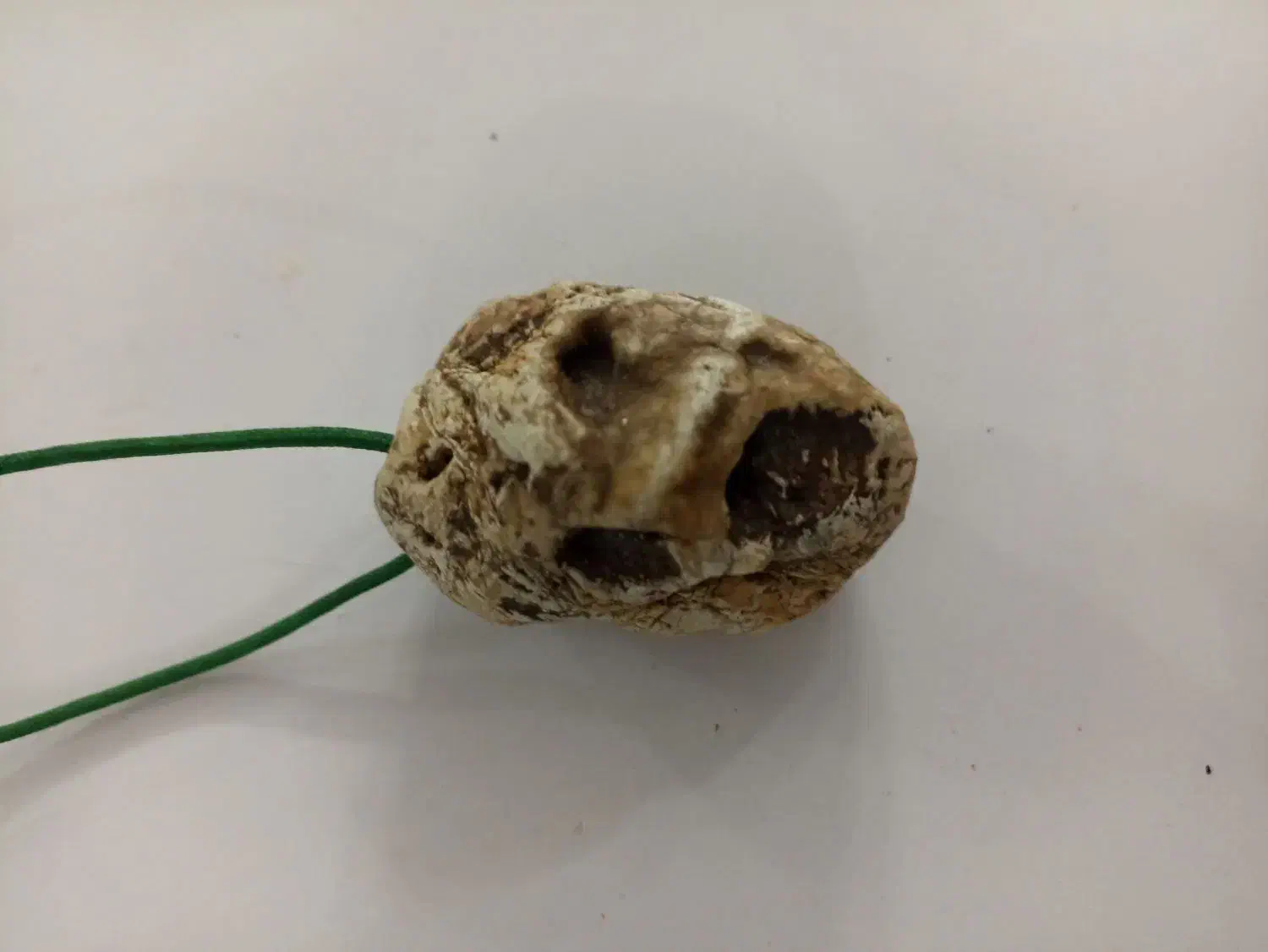 فسیل قدیمی|کلکسیون اشیاء عتیقه|سراب, |دیوار