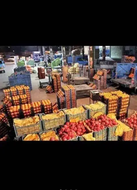 توزیع میوه و تره بار جهت کارخانجات و هایپرمارکت ها|خوردنی و آشامیدنی|تهران, میدان میوه و تره‌بار مرکزی|دیوار