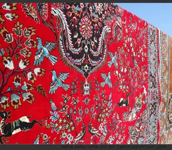 قالیشویی سپید|خدمات نظافت|زاهدان, |دیوار