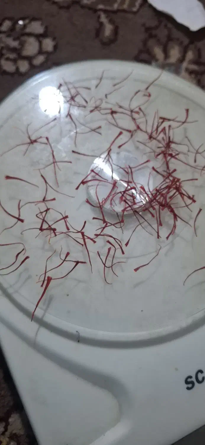 زعفران نگین|عمدهفروشی|تربت جام, میان جام|دیوار