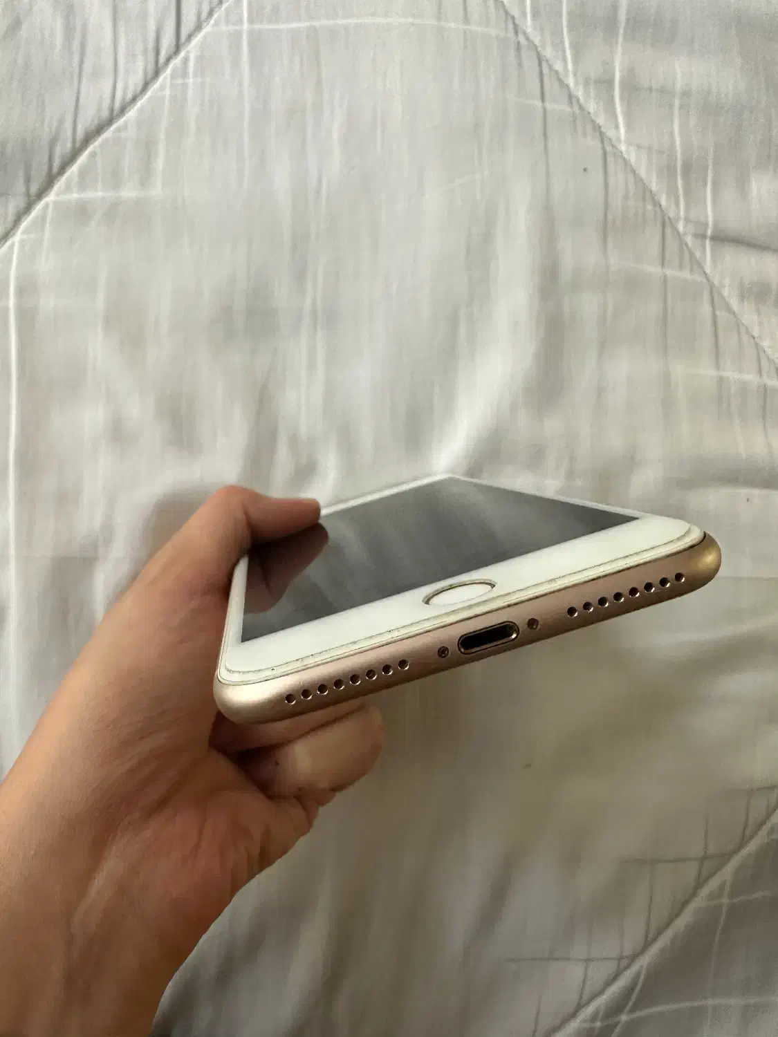 Apple گلد 256|موبایل|ساری, |دیوار