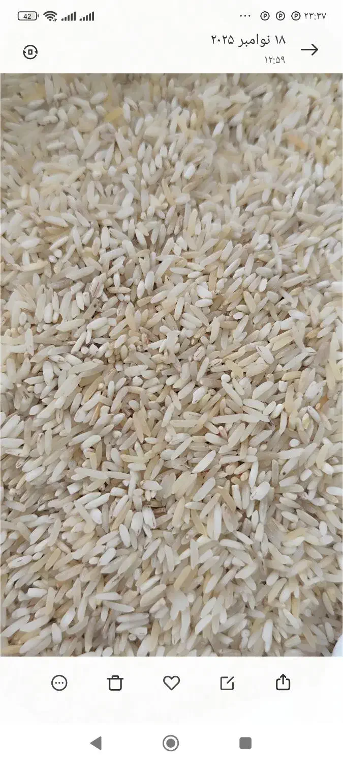 برنج ایرانی|خوردنی و آشامیدنی|تبریز, |دیوار