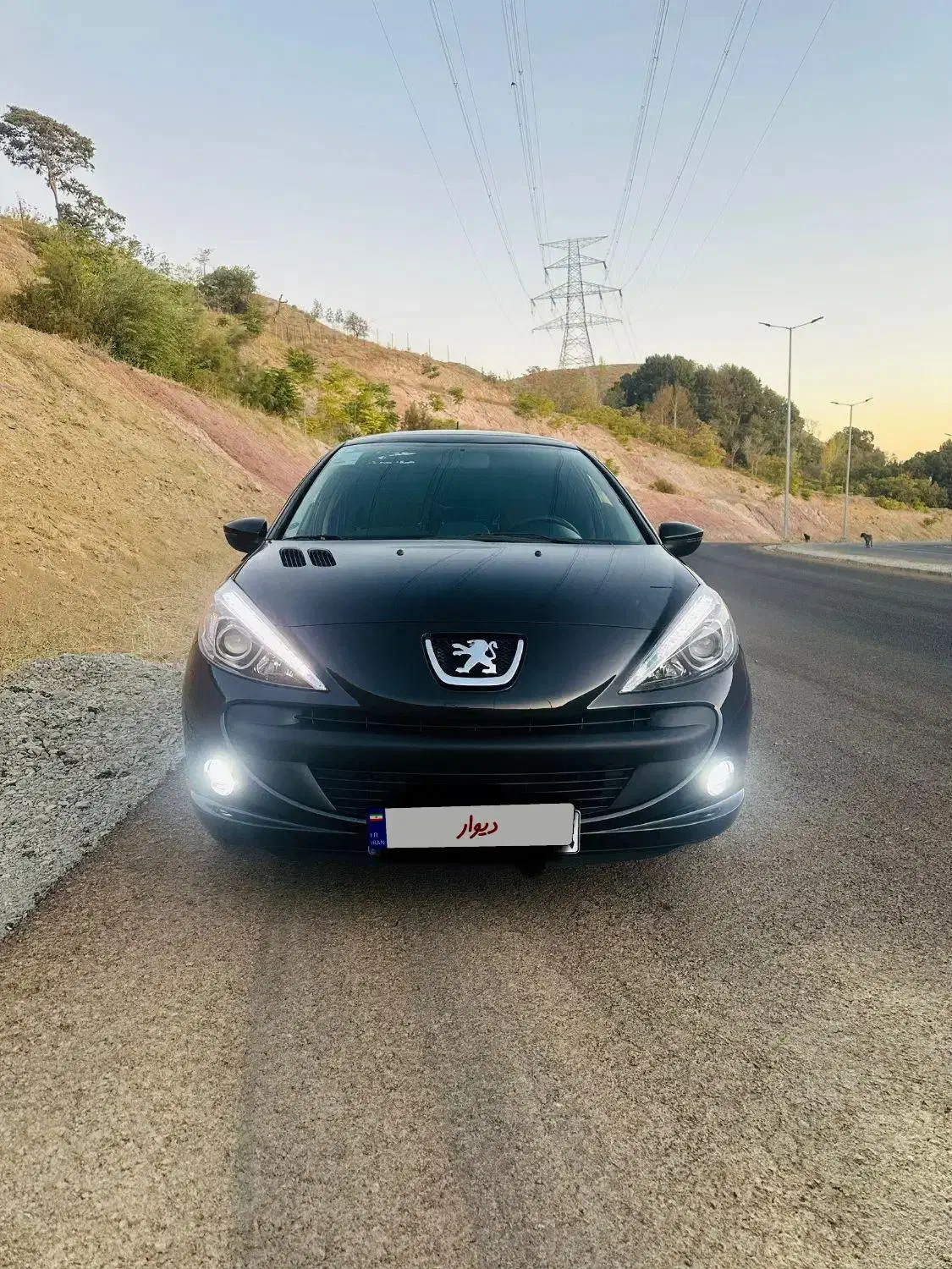 207 پانا 1401 به رویت خشک|خودرو سواری و وانت|کرج, عظیمیه|دیوار