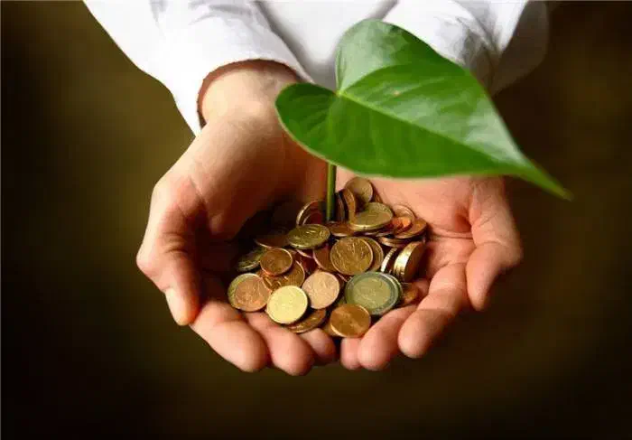 قرض|فعالیت داوطلبانه|بندر ماهشهر, |دیوار