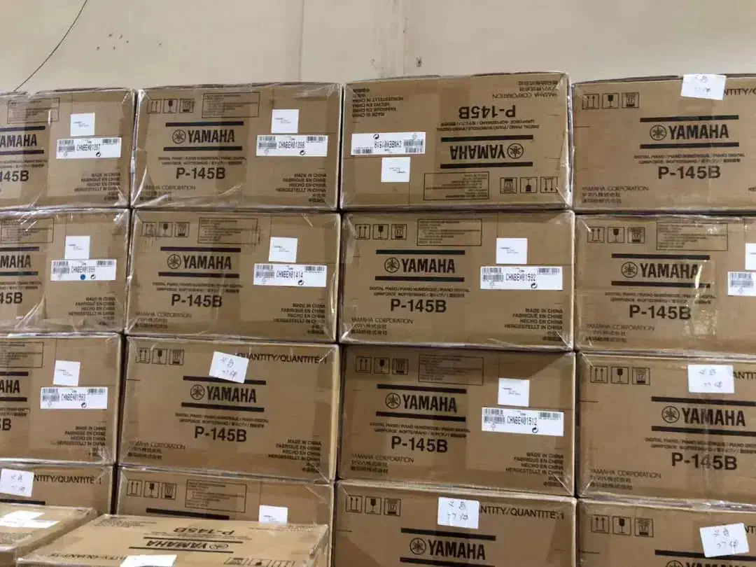 پیانو پرتابل p225 white|پیانو، کیبورد، آکاردئون|کرج, عظیمیه|دیوار