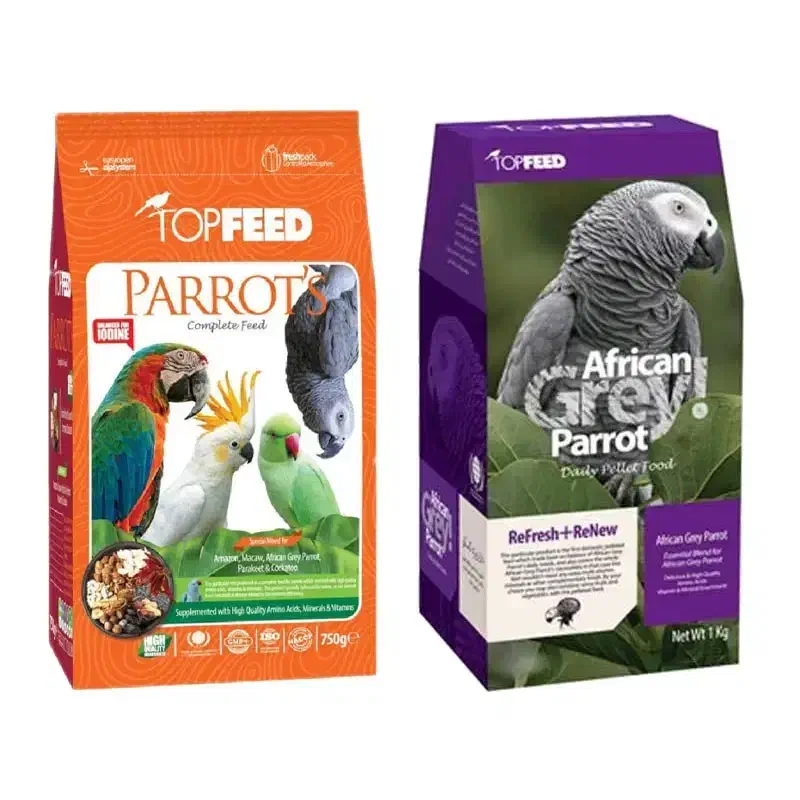 غذا پرندگان و جوندگان|لوازم جانبی حیوانات|کیش, |دیوار