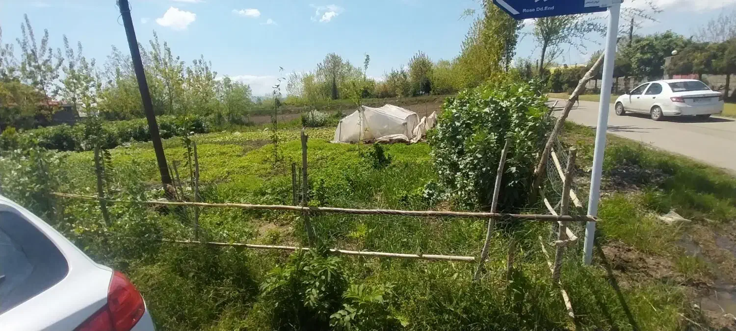 زمین مسکونی روستایی گیلان|فروش زمین و ملک کلنگی|رودبنه, |دیوار