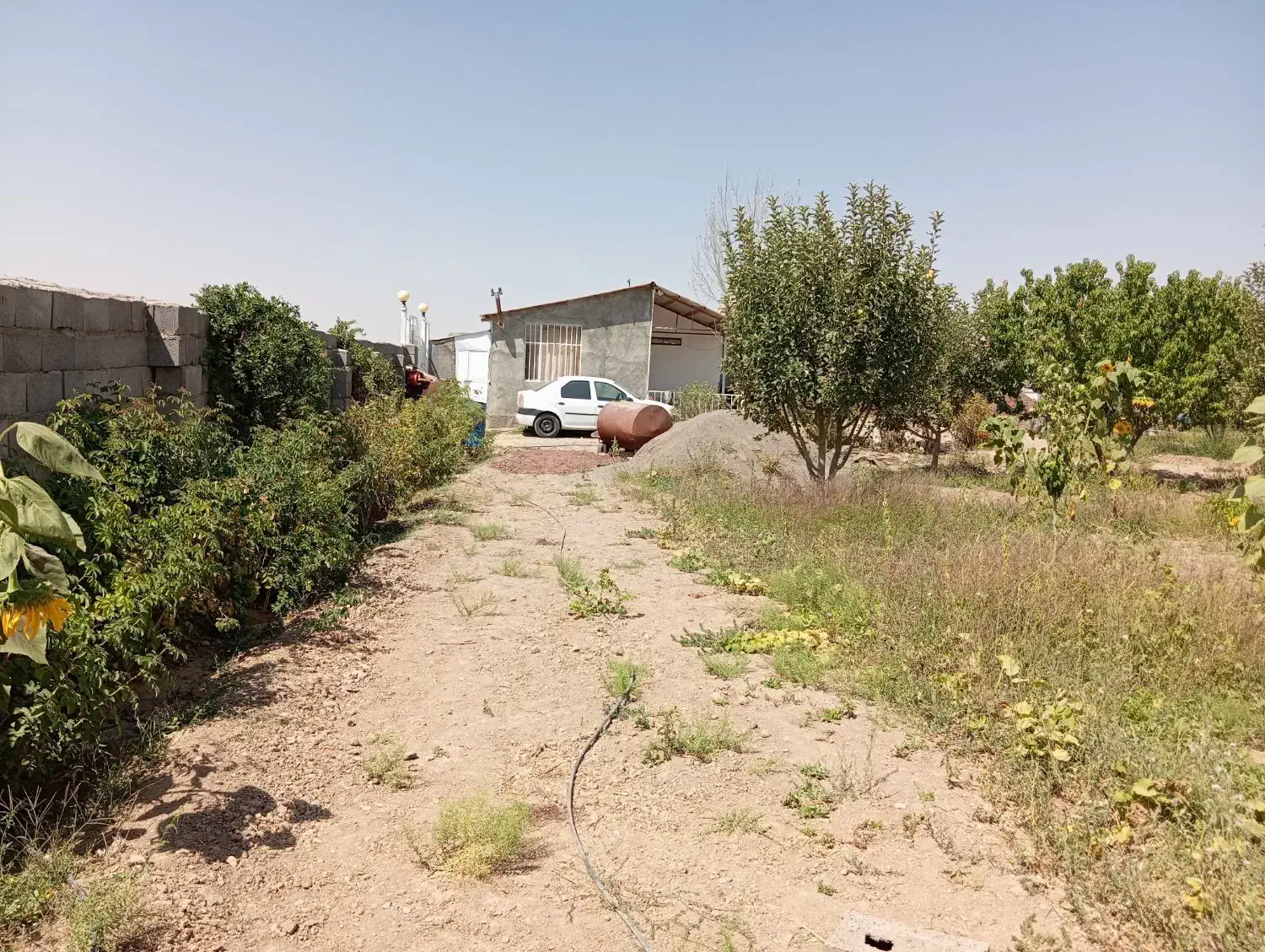 باغ|فروش خانه و ویلا|مشهد, درزآب|دیوار