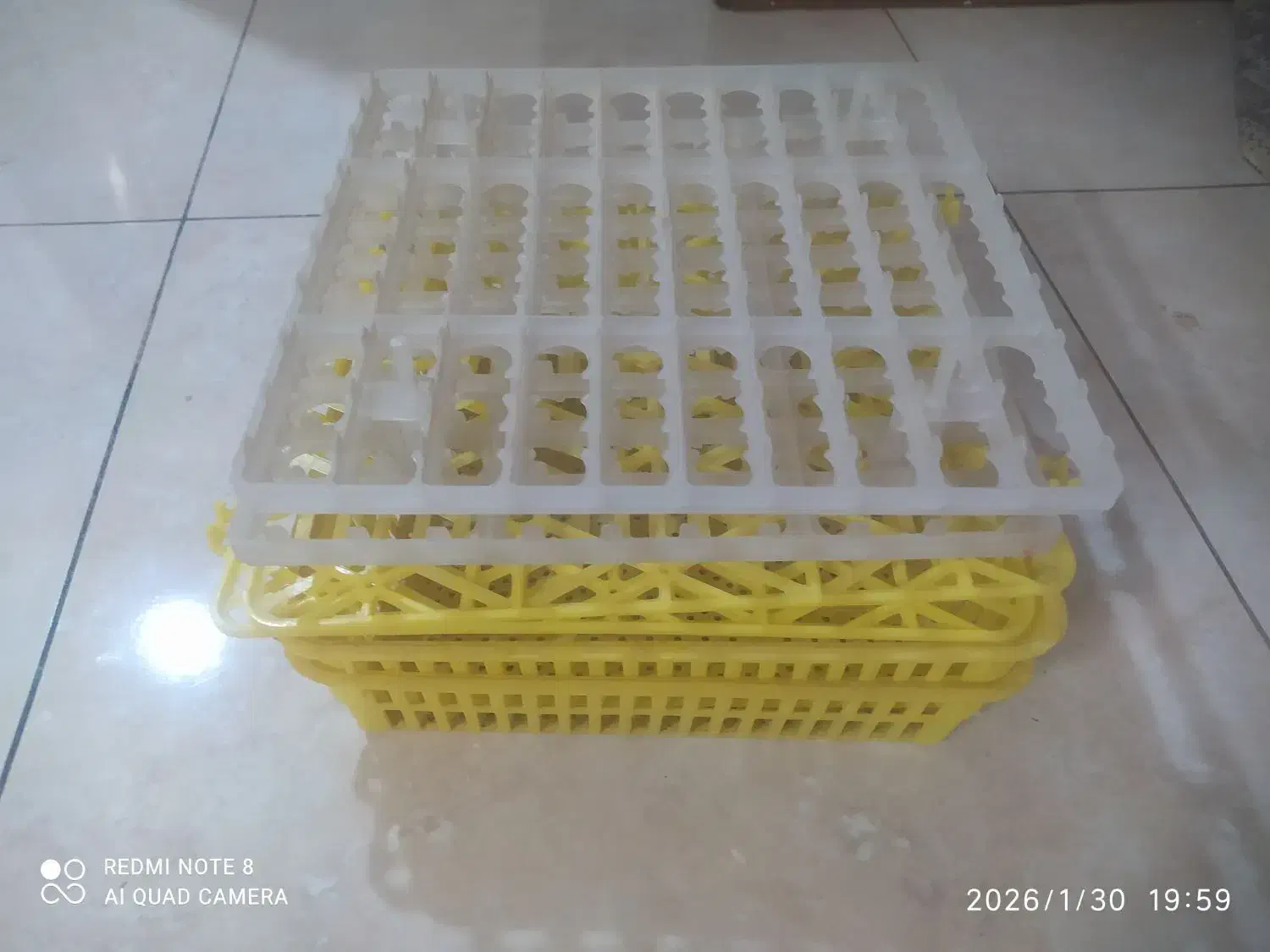 سبد|ظروف نگهدارنده، پلاستیکی، یکبارمصرف|اصفهان, اشکاوند|دیوار