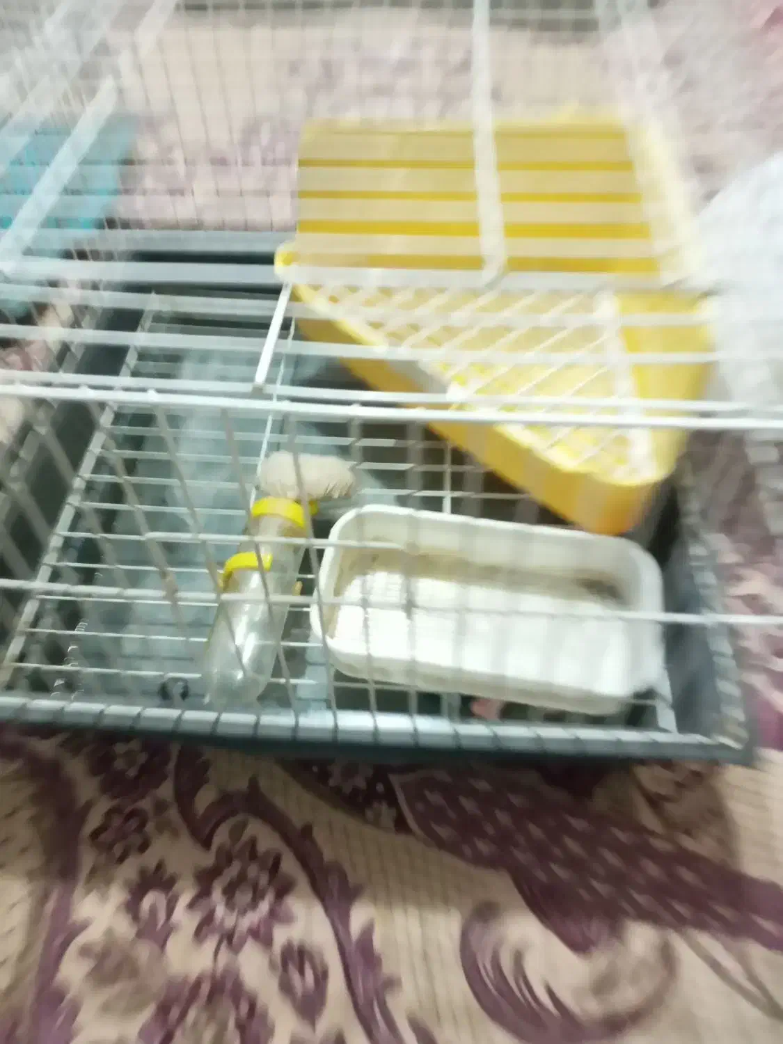 قفس خرگوش با لوازم جانبی در حد نو|لوازم جانبی حیوانات|تهران, جوادیه تهرانپارس|دیوار